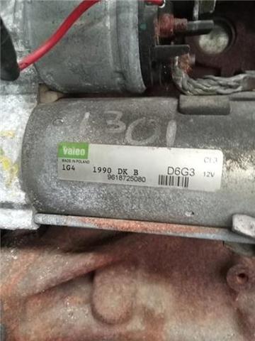 9618725080 Peugeot/Citroen
