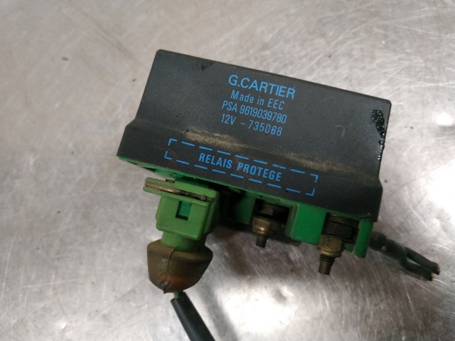 9619039780 Peugeot/Citroen