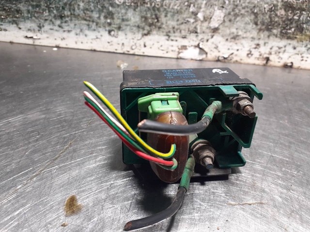 9619039780 Peugeot/Citroen