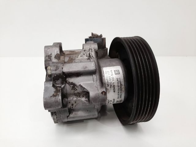 9624660180 Peugeot/Citroen