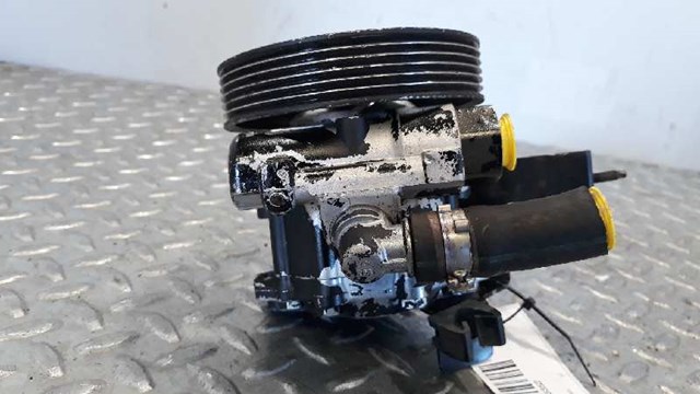 9624660480 Peugeot/Citroen