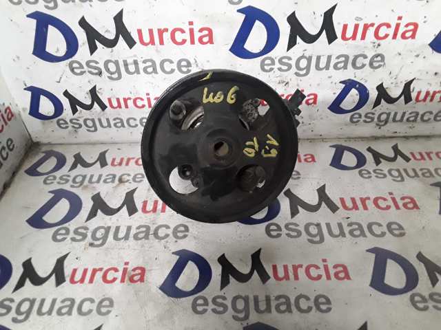 9624660480 Peugeot/Citroen