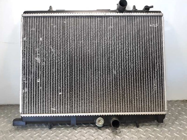 9625186680 Peugeot/Citroen