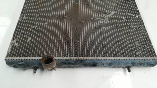 9625186680 Peugeot/Citroen
