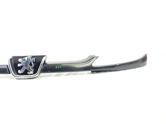 9628691277 Peugeot/Citroen