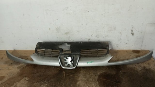 9628691277 Peugeot/Citroen