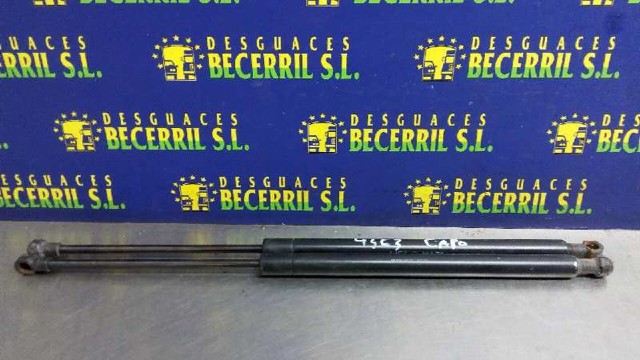 9629618980 Peugeot/Citroen