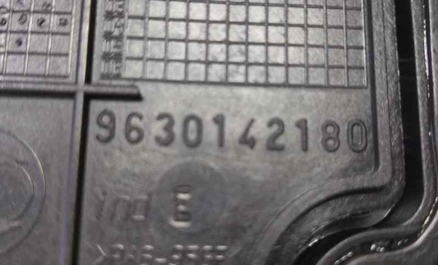 9630142180 Peugeot/Citroen