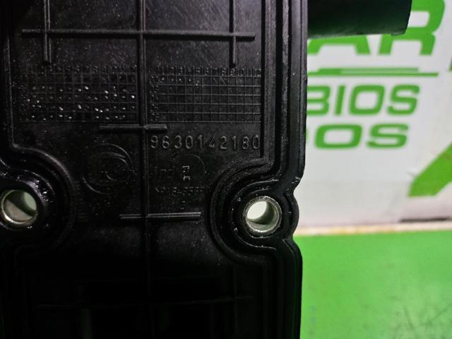 9630142180 Peugeot/Citroen