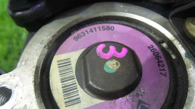 9631411580 Peugeot/Citroen