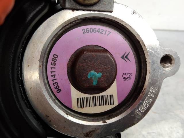 9631411580 Peugeot/Citroen