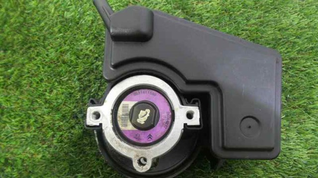 9631411580 Peugeot/Citroen