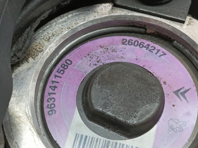 9631411580 Peugeot/Citroen