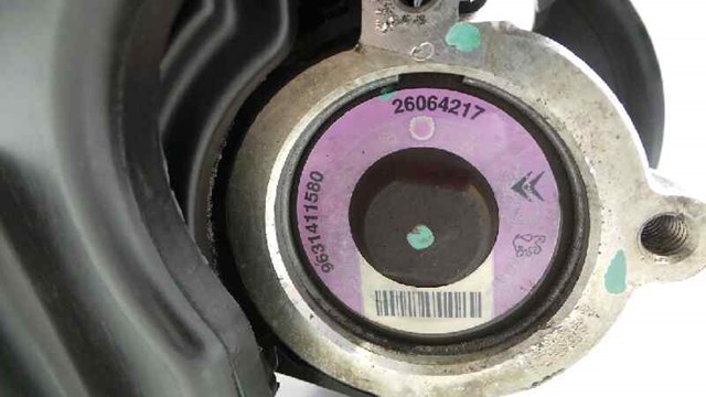 9631411580 Peugeot/Citroen