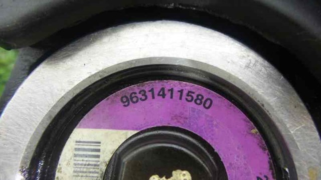 9631411580 Peugeot/Citroen