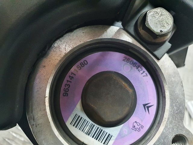 9631411580 Peugeot/Citroen