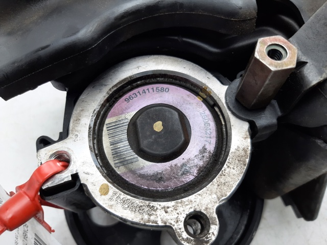 9631411580 Peugeot/Citroen