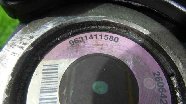 9631411580 Peugeot/Citroen