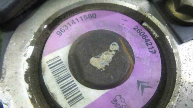 9631411580 Peugeot/Citroen