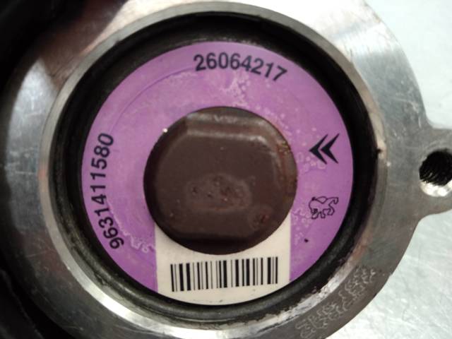 9631411580 Peugeot/Citroen