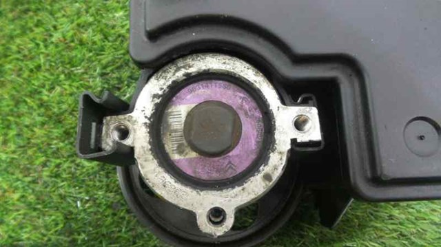 9631411580 Peugeot/Citroen