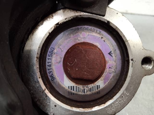 9631411580 Peugeot/Citroen