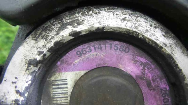 9631411580 Peugeot/Citroen