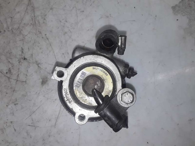 9631923680 Peugeot/Citroen