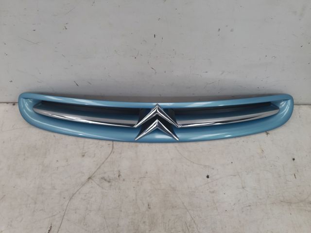 9632099177 Peugeot/Citroen