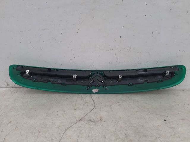 9632099177 Peugeot/Citroen