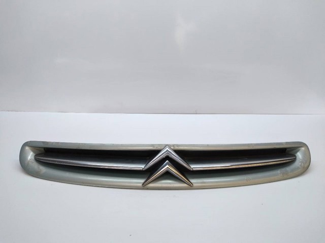 9632099177 Peugeot/Citroen