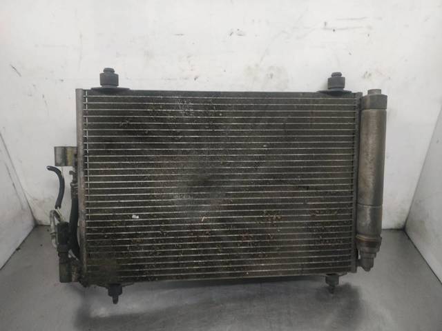 9632629580 Peugeot/Citroen