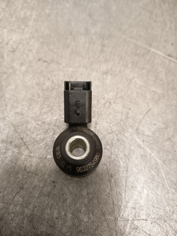 9632754980 Peugeot/Citroen