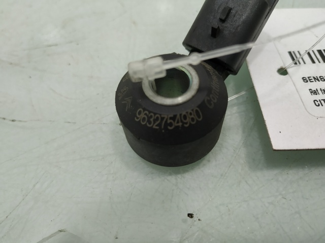 9632754980 Peugeot/Citroen