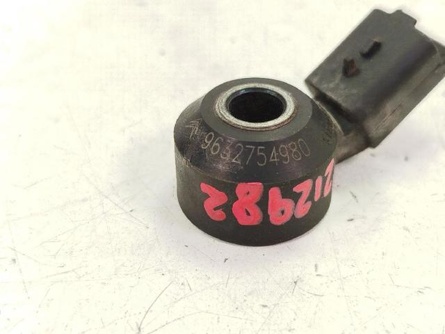 9632754980 Peugeot/Citroen