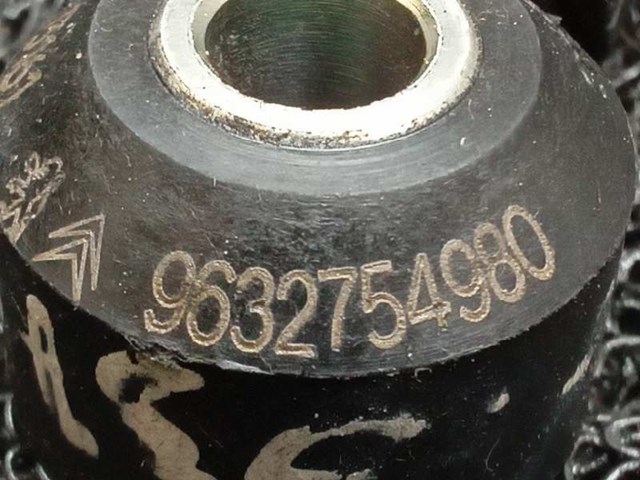 9632754980 Peugeot/Citroen