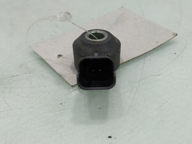 9632754980 Peugeot/Citroen