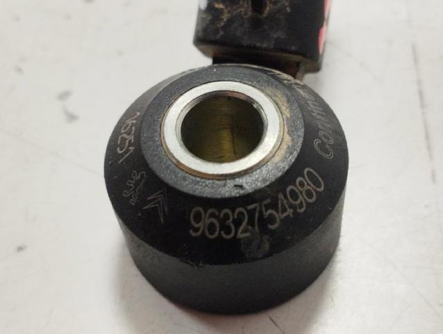 9632754980 Peugeot/Citroen