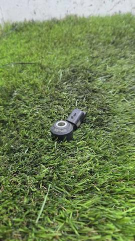 9632754980 Peugeot/Citroen