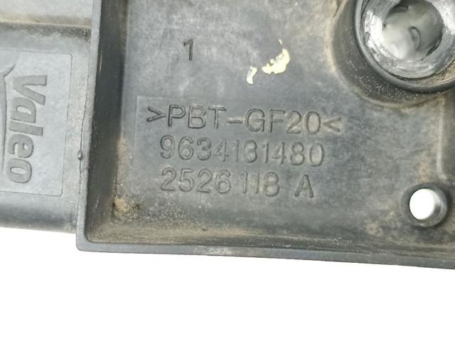 9634131480 Peugeot/Citroen