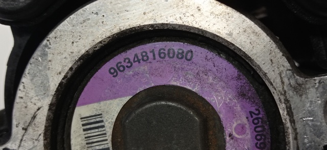 9634816080 Peugeot/Citroen