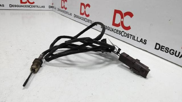 9635119080 Peugeot/Citroen