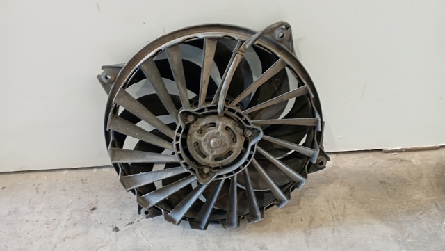 9635466180 Peugeot/Citroen