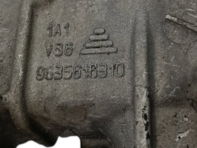 9635616310 Peugeot/Citroen
