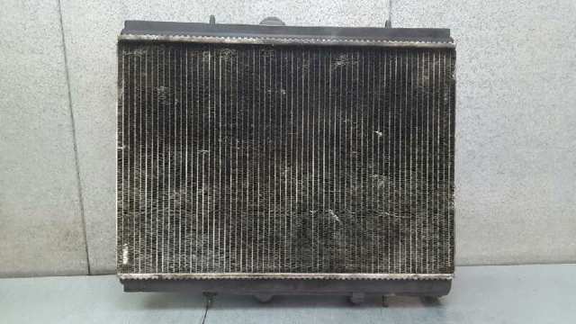 9635989980 Peugeot/Citroen