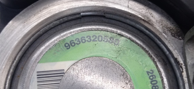 9636320580 Peugeot/Citroen