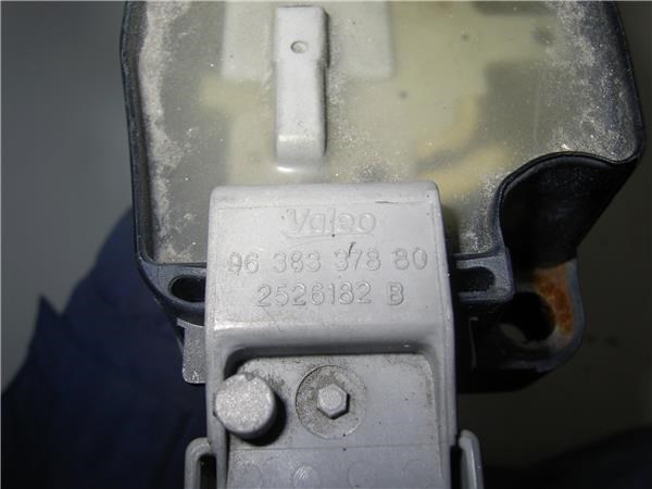 9636337880 Peugeot/Citroen