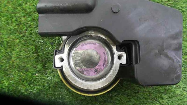 9636868880 Peugeot/Citroen