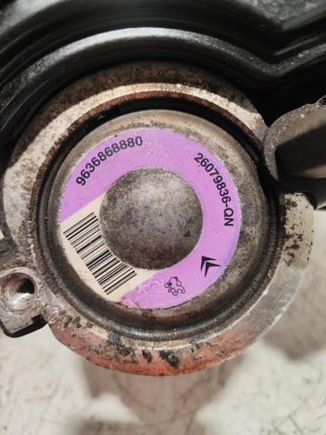 9636868880 Peugeot/Citroen