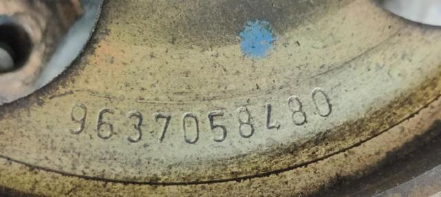 9636868880 Peugeot/Citroen